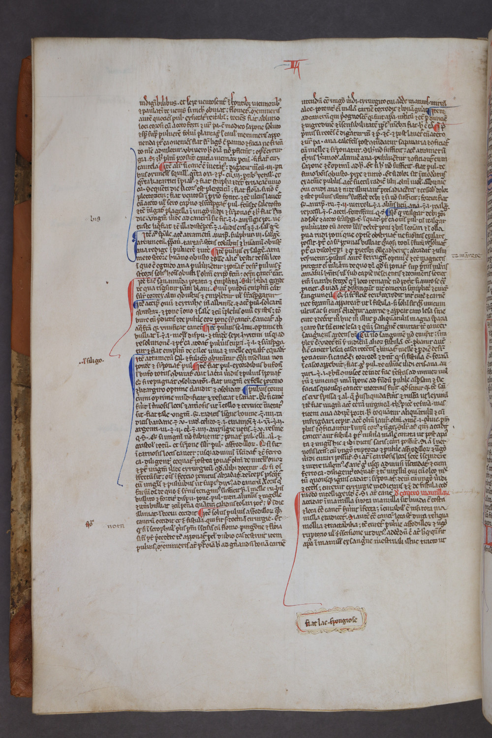 Folio 151 verso